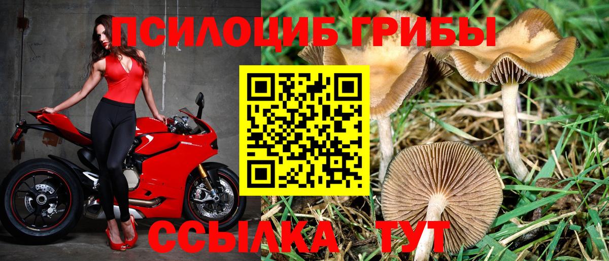Печора  Псилоцибиновые грибы GOLDEN TEACHER  Вход с VPN 