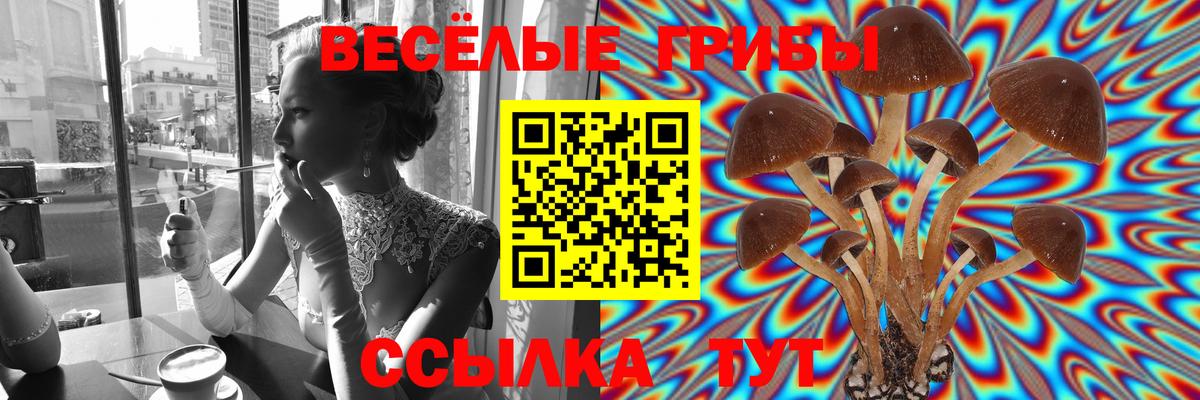 Галлюциногенные грибы MAGIC MUSHROOMS Печора